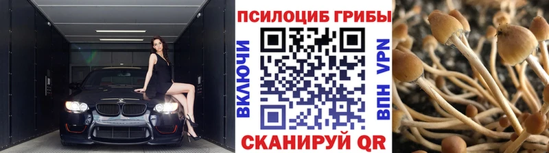 omg ONION  Духовщина  Псилоцибиновые грибы мицелий 